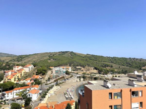 Charmant F2 à Banyuls-sur-Mer - Proche plage avec parking privatif - FR-1-309-166